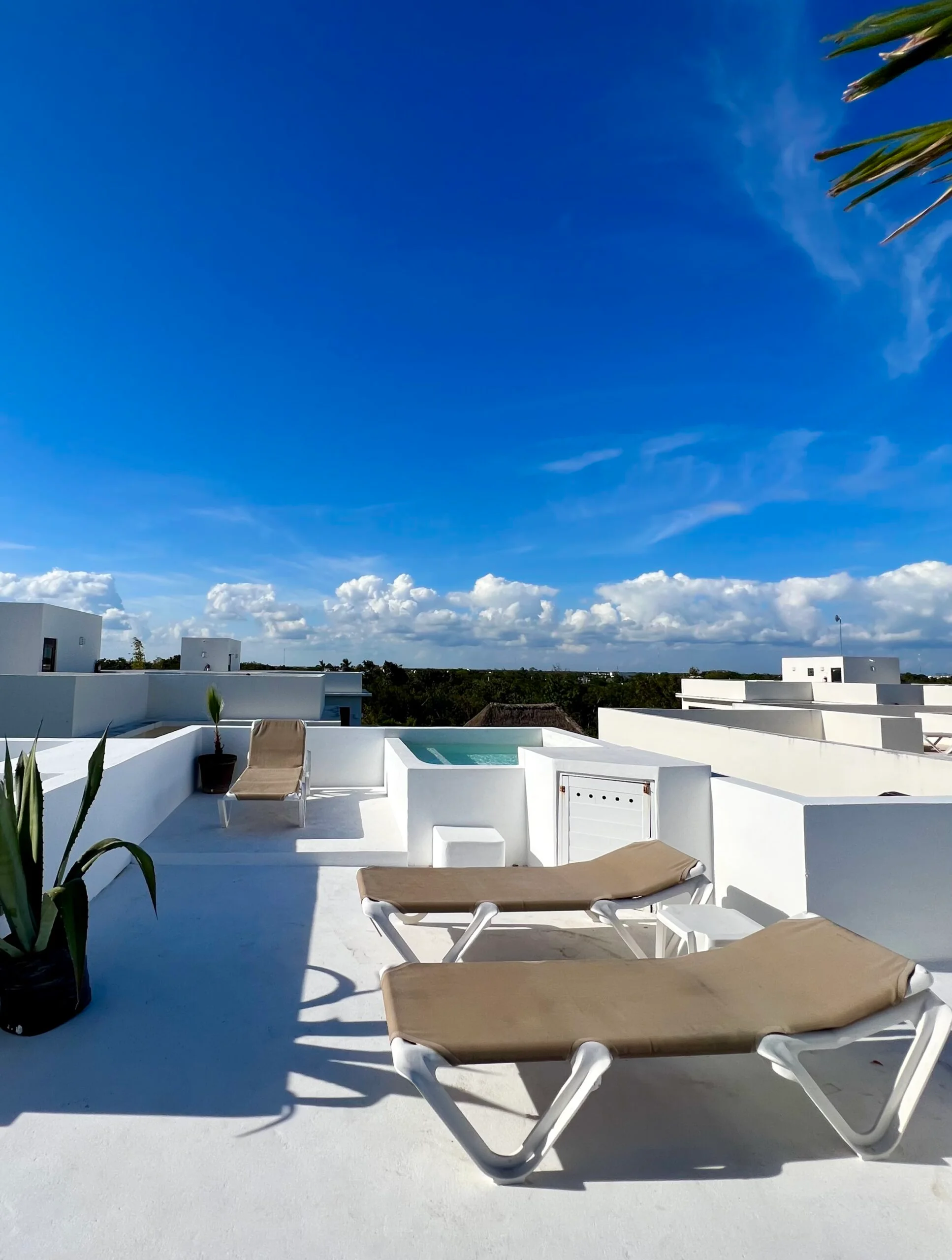 B303-intima-roof-pool-scaled